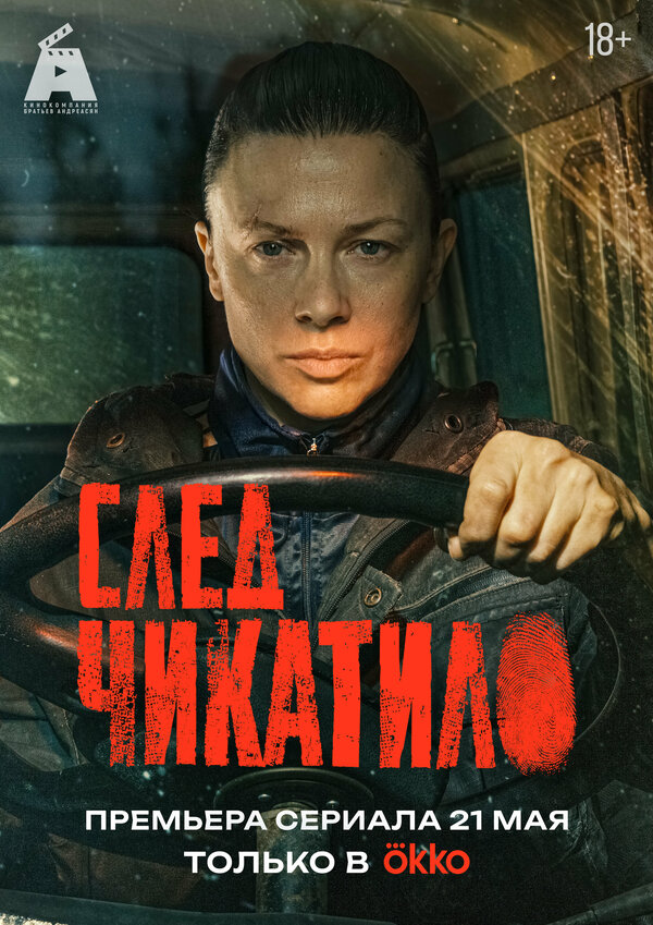 След Чикатило - постер